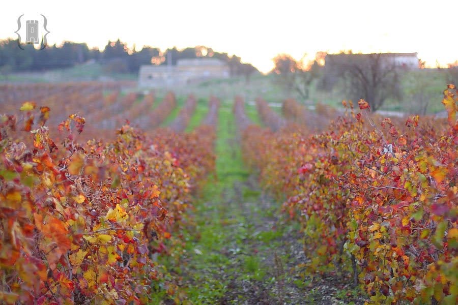 Le nostre terre